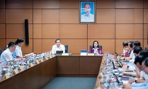 Thể chế hóa chính sách bảo vệ người dám nghĩ, dám làm, tiết kiệm thời gian, chi phí xã hội