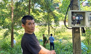 Bắt đối tượng trộm hơn 650 mét dây cáp điện tại công viên Diên Hồng