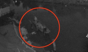 Video: Truy tìm 3 đối tượng rút trộm hơn 1.000 lít dầu trong đêm