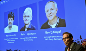 Giải Nobel Y sinh 2026 trao cho các nhà khoa học Mỹ và Đức về phát triển kỹ thuật quang di truyền