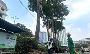 TPHCM: Đề phòng những tai nạn bất ngờ trong mùa mưa