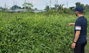 Xã Tân Nhựt, TPHCM: Tháo gỡ "nút thắt" thủ tục dự án cửa hàng xăng dầu