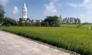 TAND Tối cao đã tiếp nhận đơn giải quyết theo trình tự giám đốc thẩm