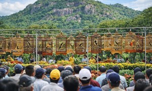 Tiếng hót “đánh thức” ngọn đồi huyền thoại