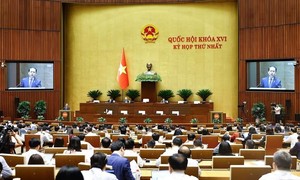 Thí điểm luật sư công: Bổ sung lực lượng, nâng cao năng lực pháp lý cho khu vực nhà nước