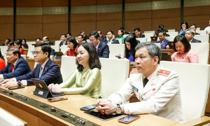 Chính thức cho thí điểm chế định luật sư công tại Bộ Công an và 7 Bộ, 10 địa phương