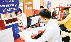 Chính phủ ban hành 8 Nghị quyết cắt giảm, phân cấp, đơn giản hóa thủ tục hành chính, điều kiện kinh doanh