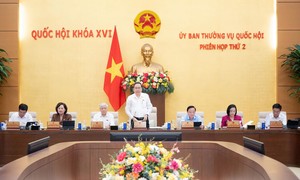 Cần đánh giá thực chất việc giải quyết kiến nghị của cử tri và Nhân dân