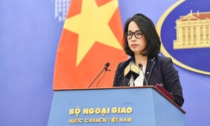 Việt Nam luôn hết sức nỗ lực trong bảo vệ sở hữu trí tuệ