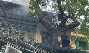 Cảnh sát PCCC leo cây, đứng trên mái ki-ốt phun nước dập lửa tại căn hộ khu tập thể