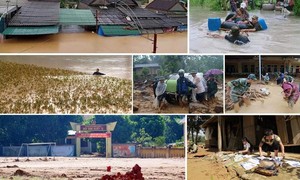 Chính phủ ban hành “bộ khung” hành động trong tăng cường phòng, chống thiên tai