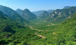 Gần 20 đối tượng kéo nhau vào rừng núi hiểm trở đánh bạc, vẫn bị công an bắt giữ