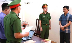 Khởi tố đối tượng thu gom lượng lớn lợn nhiễm dịch rồi về giết mổ để bán ra thị trường