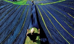 Về thăm quê lụa Tân Châu