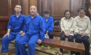 Nhóm mua bán trẻ em qua mạng xã hội do Việt kiều Mỹ cầm đầu lãnh án