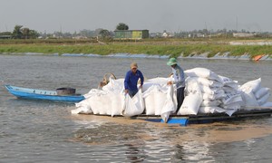 Kỳ 3: Tâm huyết và nỗ lực phi thường