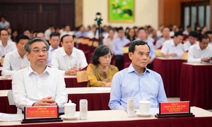 TPHCM tập trung xây dựng môi trường đầu tư đạt chuẩn quốc tế, đẩy mạnh phát triển hạ tầng số