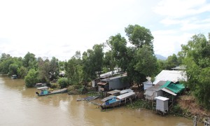 Nhớ bến sông quê