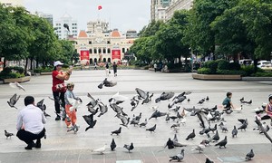 Triệu trái tim hướng về Thành phố mang tên Bác