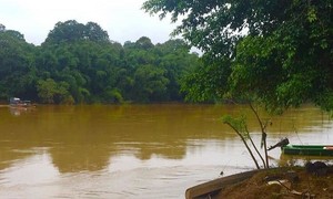 Đắm mình trong “mảng xanh” của Vườn quốc gia Cát Tiên
