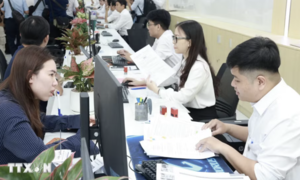 Viên chức được xếp lương theo bậc nghề nghiệp của vị trí việc làm