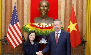 Tổng Bí thư, Chủ tịch nước Tô Lâm tiếp các Đại sứ trình Quốc thư