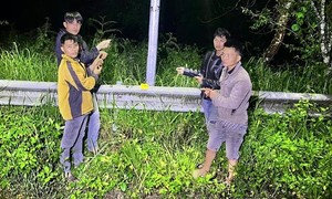 Khởi tố nhóm đối tượng chuyên cắt trộm dây điện chiếu sáng tại KDL Hồ Tuyền Lâm