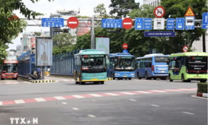 TPHCM miễn phí vé xe buýt, lượng khách tăng hơn 30%