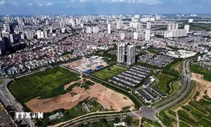 Quy định chi tiết một số điều và biện pháp thi hành Luật Đấu thầu về lựa chọn nhà đầu tư thực hiện dự án đầu tư kinh doanh
