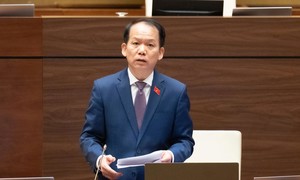 Dự án Luật Phát triển đô thị nhận được sự quan tâm, đóng góp sâu sắc của các ĐBQH