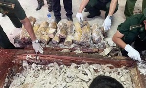 Phát hiện vụ vận chuyển trái phép gần 1.200 kg ngà voi và gần 80 kg xương động vật hoang dã