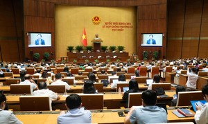 Bảo đảm minh bạch, hiệu quả trong quản lý tần số và hạ tầng viễn thông