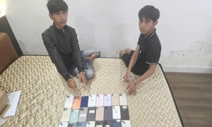 Anh em sinh đôi trộm tài sản trị giá hơn 400 triệu đồng