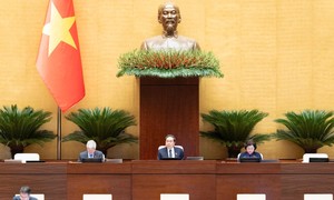 Cấp bách sửa đổi Luật Đất đai để đáp ứng yêu cầu phát triển đất nước trong giai đoạn mới