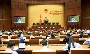 Trình Quốc hội giảm 30% thuế thu nhập cá nhân, thu nhập doanh nghiệp trong 2 năm 2026-2027