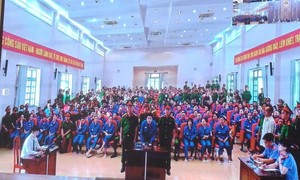 Xét xử 227 bị cáo chuyên án VN10: Ca sĩ Chi Dân rủ anh trai cùng tổ chức sử dụng ma túy