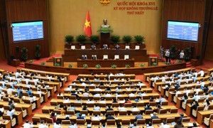 Bổ sung cơ chế kiểm soát, quản lý việc tuyên truyền pháp luật qua nền tảng số và AI