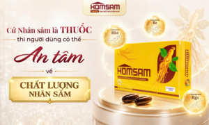 Đại bổ nguyên khí HOMSAM – Giải pháp giúp người dùng an tâm chọn sâm chất lượng