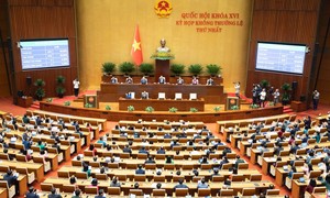 Quốc hội biểu quyết thông qua việc thành lập TP.Quảng Ninh và TP.Bắc Ninh