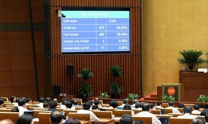 Giảm 30% thuế thu nhập cá nhân, thuế thu nhập doanh nghiệp 2 năm 2026-2027