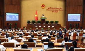 Quốc hội biểu quyết thông qua cơ chế, chính sách đặc thù xử lý vi phạm pháp luật về kinh tế