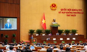 Quốc hội quyết định cấm kinh doanh khí N2O (khí cười) cho mục đích giải trí