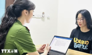 Khởi tố đối tượng mua sâm Lai Châu về gắn mác sâm Ngọc Linh bán trên mạng