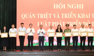 TPHCM triển khai thực hiện Luật Phát triển đô thị: Thời cơ phát triển không chấp nhận sự chậm trễ