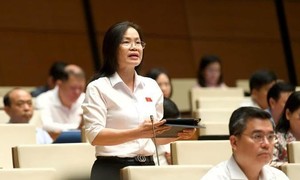 Tạo khuôn khổ pháp lý ổn định, đột phá thúc đẩy TPHCM phát triển nhanh, bền vững