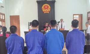 Gần 30 năm tù cho 4 bị cáo góp tiền mua ma túy cùng sử dụng