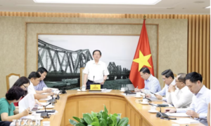 Khẩn trương triển khai dự án cấp nước vùng Tây Nam sông Hậu