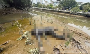 TPHCM: Tìm người nhà của một thanh niên tử vong gần cầu Phú Mỹ