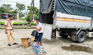 CSGT tuần tra, bắt giữ xe tải vận chuyển 900 gói thuốc lá lậu