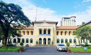 TAND TPHCM tuyên án vụ 'tranh chấp giữa các thành viên công ty' tại Naviland